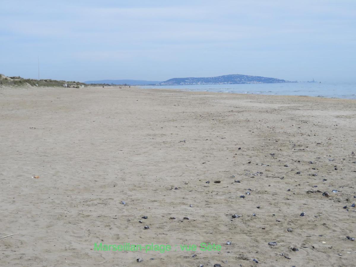 Horte Neuve Marseillan  Buitenkant foto